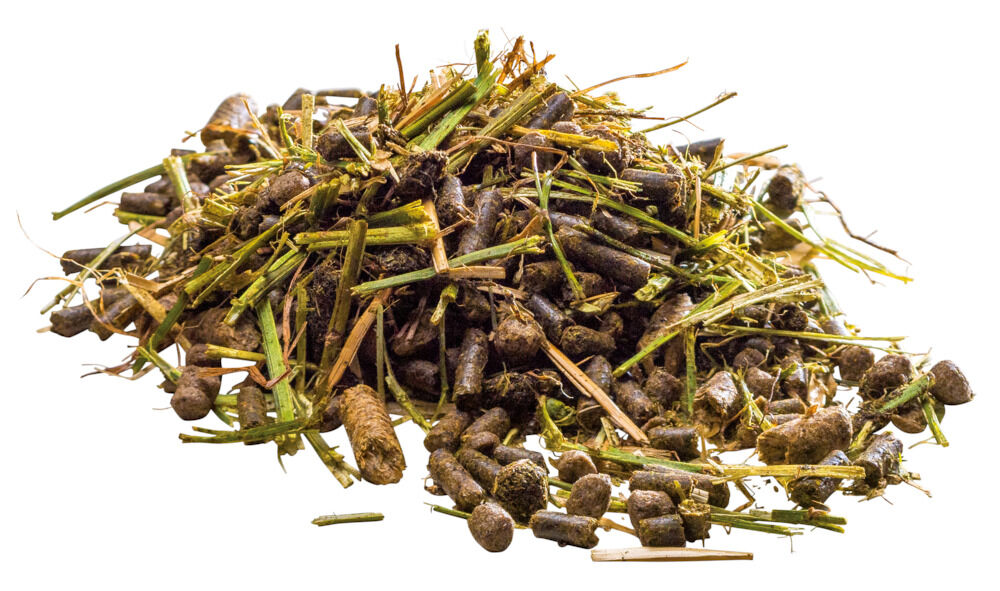 Pavo Ease&Excel - Sport/Prestatie - Paardenvoer - 3 - Zak