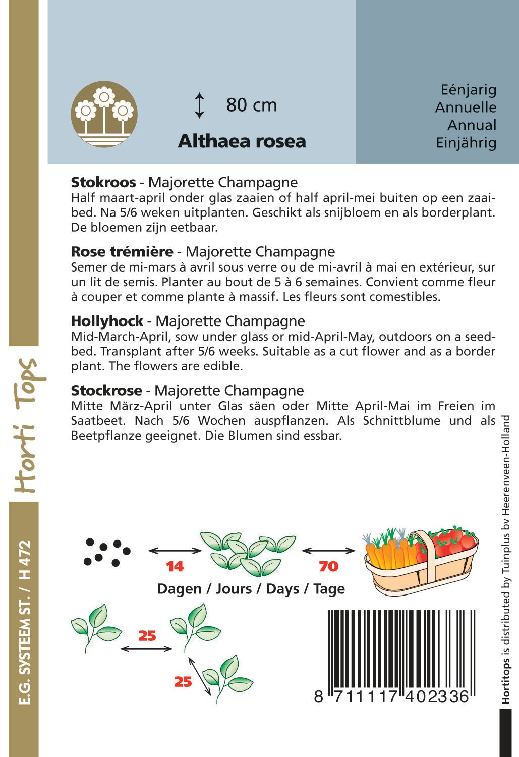 Hortitops Stokroos Majorette Champagne Althaea rosea - Bloemzaden