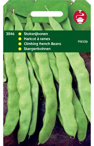 Hortitops Stoksnijbonen Phaseolus Vulgaris L. Helda - Groentezaden Hortitops Stoksnijbonen Phaseolus Vulgaris L. Helda - Groentezaden