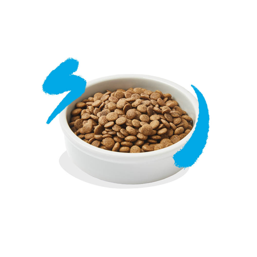 Edgard & Cooper Brokjes - Kattenvoer - 2 - zalm