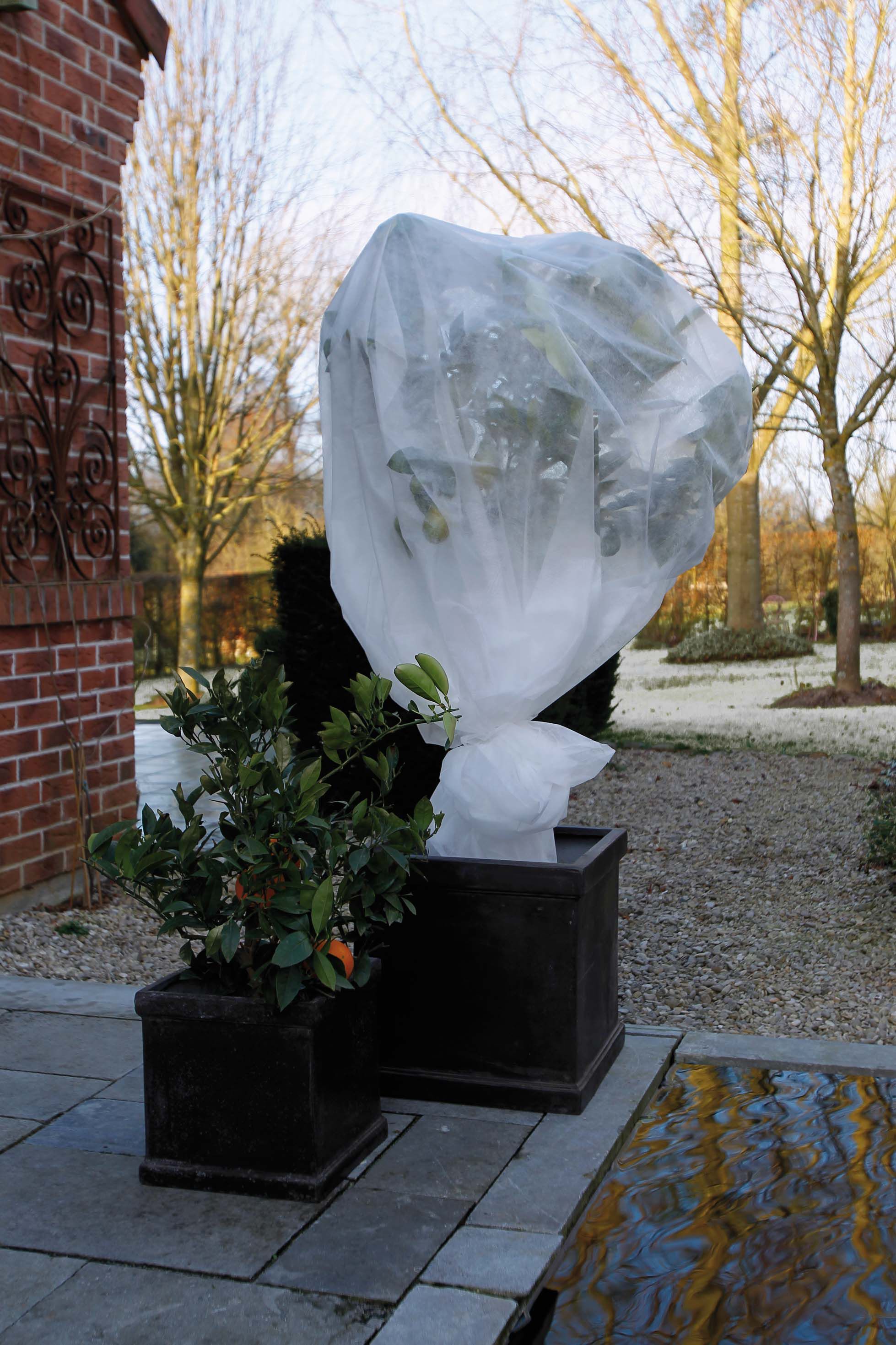 Nature Winterafdekvlies- Plantbescherming Nature Winterafdekvlies- Plantbescherming