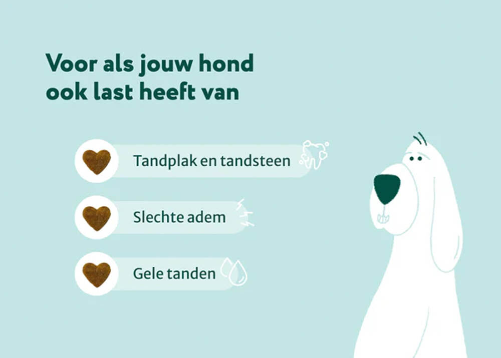 Dogsuppy Dental Bright - Hondensupplement - 90