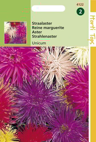 Hortitops Straalaster Unicum - Bloemzaden