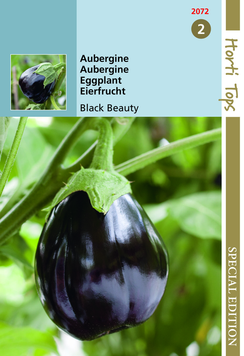 Hortitops Aubergine Black Beauty Solanum melongena - Groentezaden Hortitops Aubergine Black Beauty Solanum melongena - Groentezaden