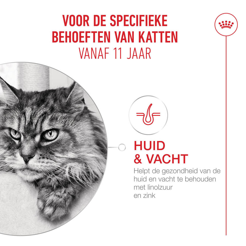 Royal Canin Ageing 11+ - Kattenvoer - 2