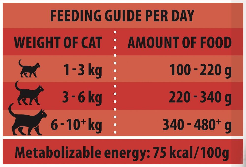 Rokus Adult - Senior - Kattenvoer - 415 - rund