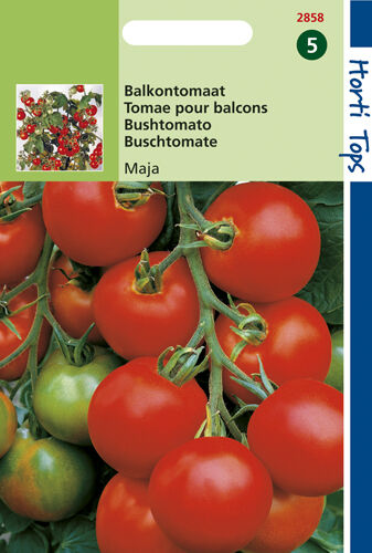 Hortitops Tomaten Solanum lycopersicum L. (syn L. esculentum) Maja -Balkontomaat Amateur Variety - Groentezaden Hortitops Tomaten Solanum lycopersicum L. (syn L. esculentum) Maja -Balkontomaat Amateur Variety - Groentezaden