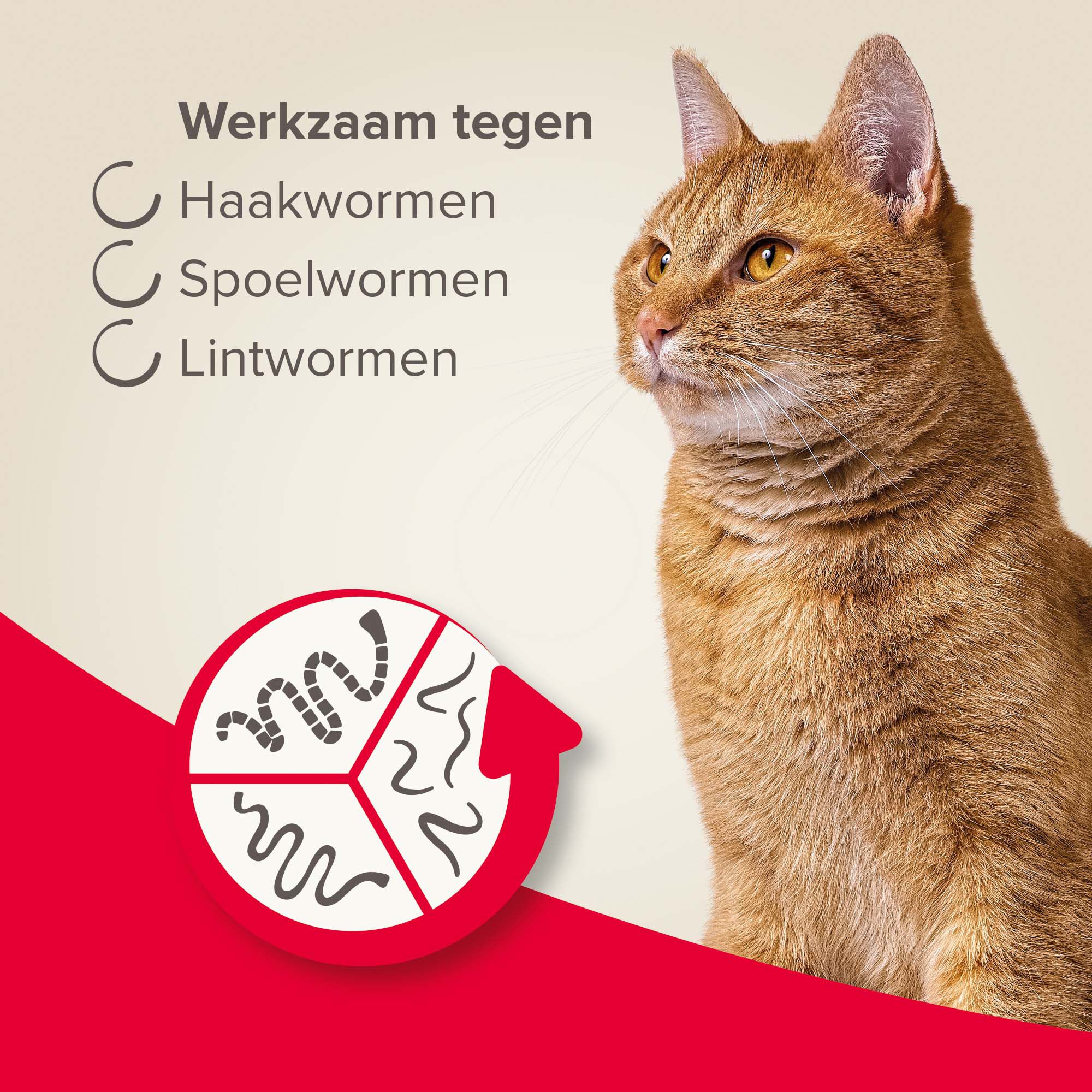 Beaphar all-in-one Tabletten - Ontwormen Kat en Kittens