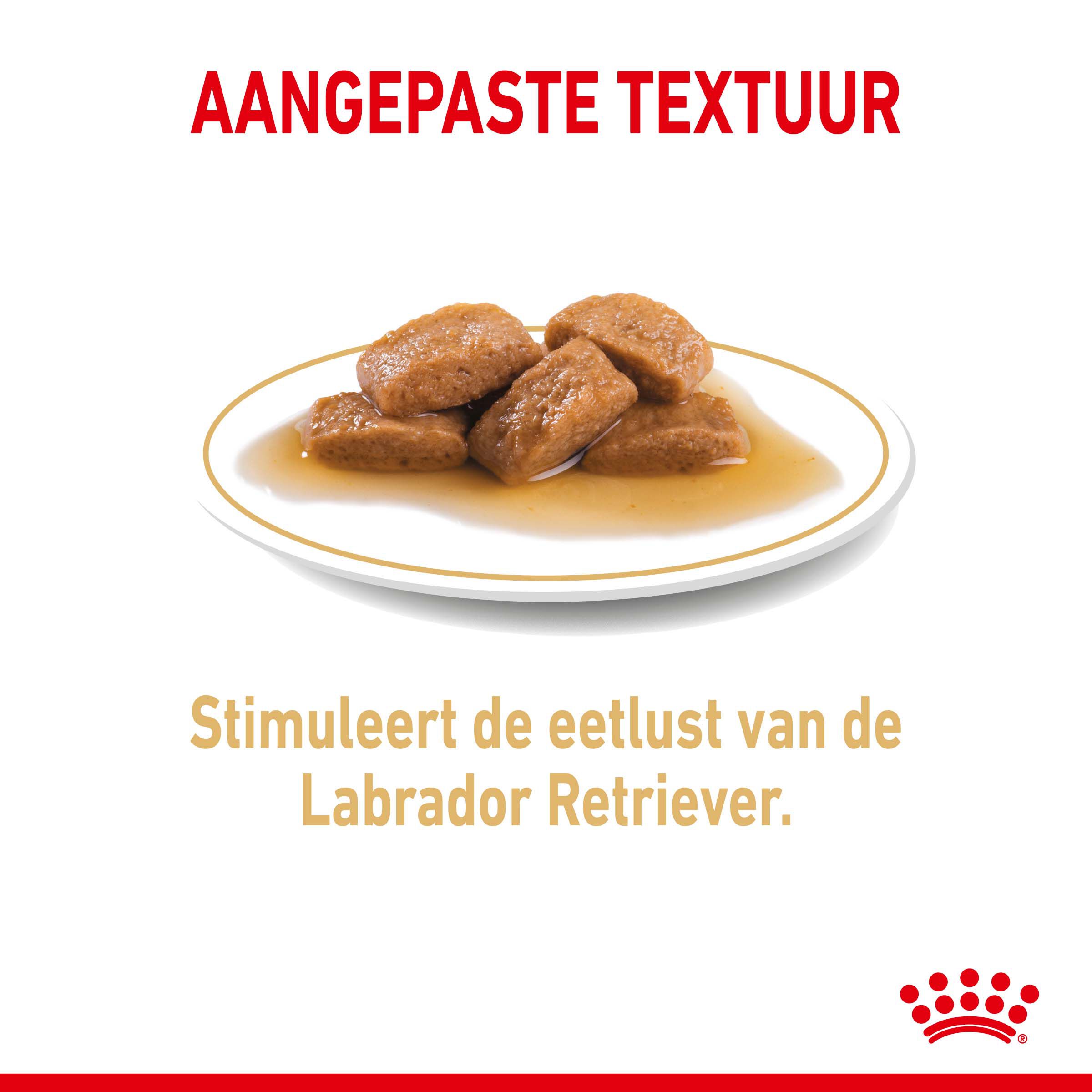 ROYAL CANIN® Adult Labrador Retriever Natvoer 10x 140gr - Hondenvoer - 1400 - gevogelte