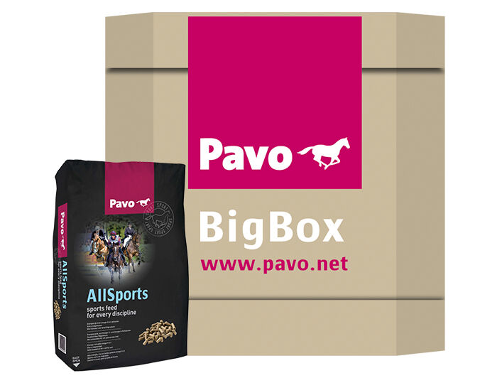 Pavo All Sports - Sport/ Prestatie - Paardenvoer - 725 kg - Bigbox