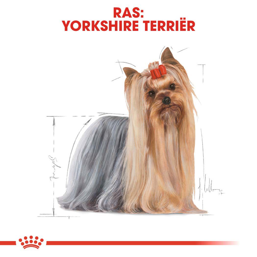 Royal Canin Yorkshire Terrier Adult Pouch - Hondenvoer - 1020 - gevogelte