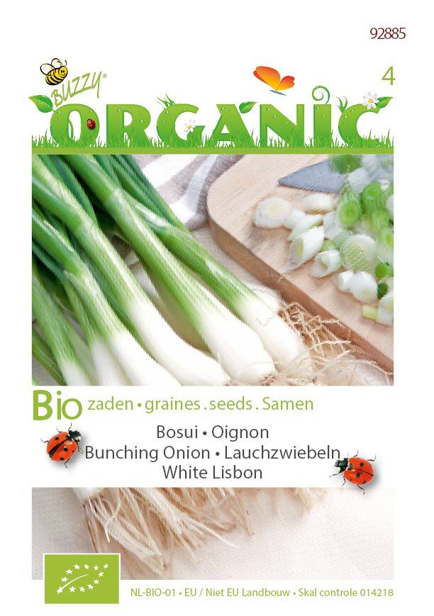 Buzzy Bosui Allium cepa L. White Lisbon - Uien Buzzy Bosui Allium cepa L. White Lisbon - Uien