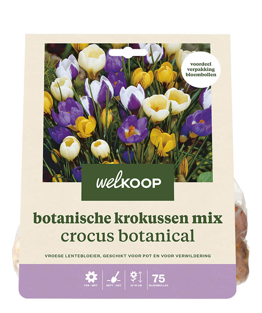 Welkoop Krokus Heidi - Bloembollen Welkoop Krokus Heidi - Bloembollen