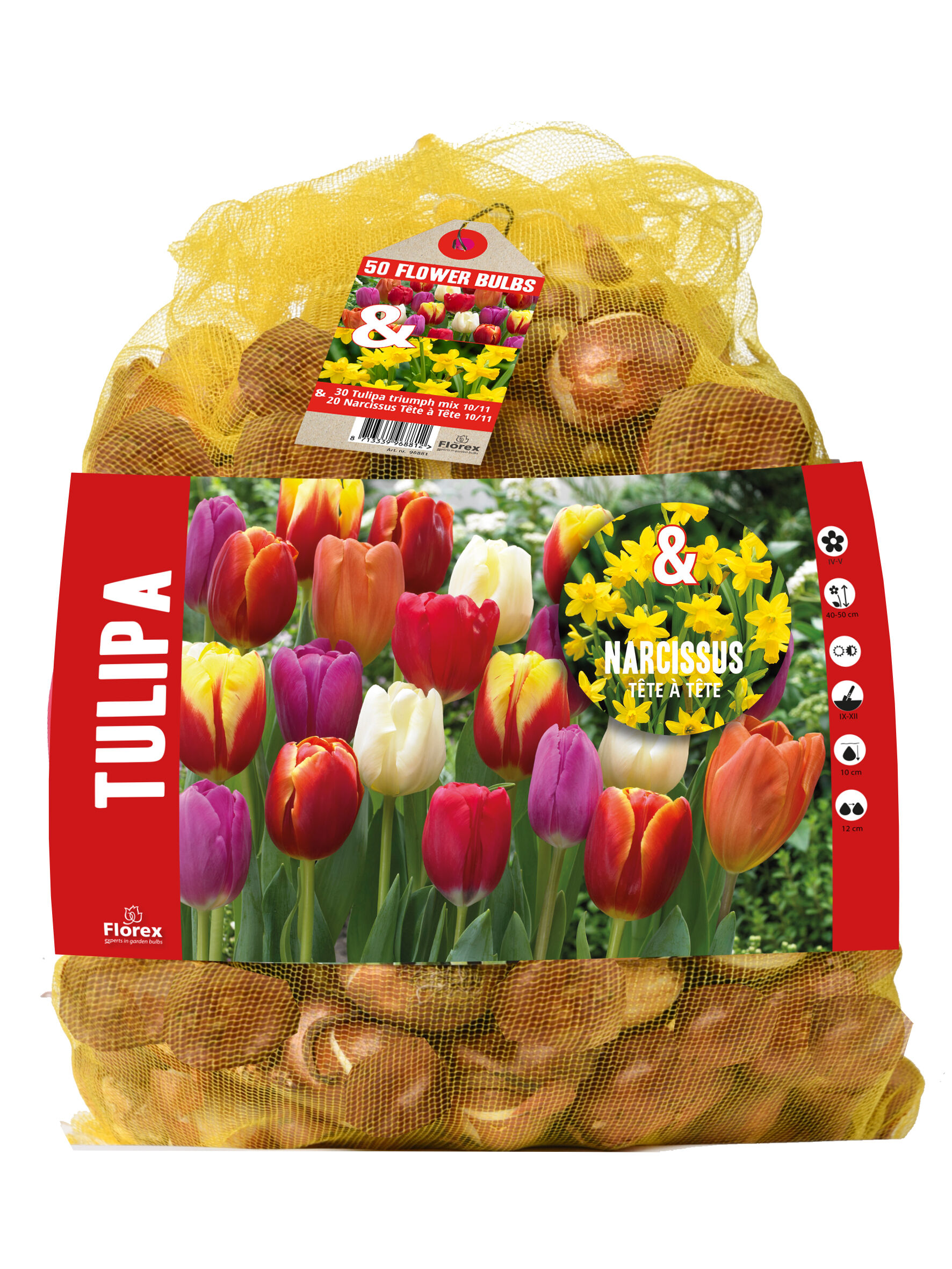 Florex Tulp - Narcis - Bloembollen Florex Tulp - Narcis - Bloembollen
