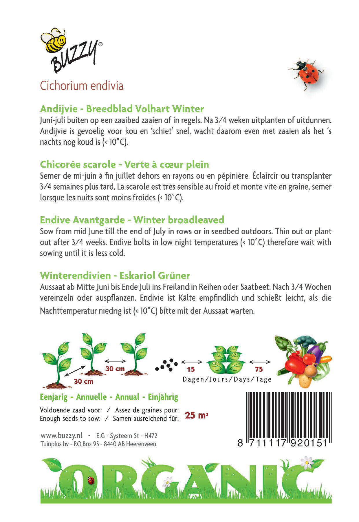 Organic Andijvie nr 5 - Groentezaden