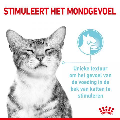 Royal Canin Sensory Multipack - Kattenvoer - 1020