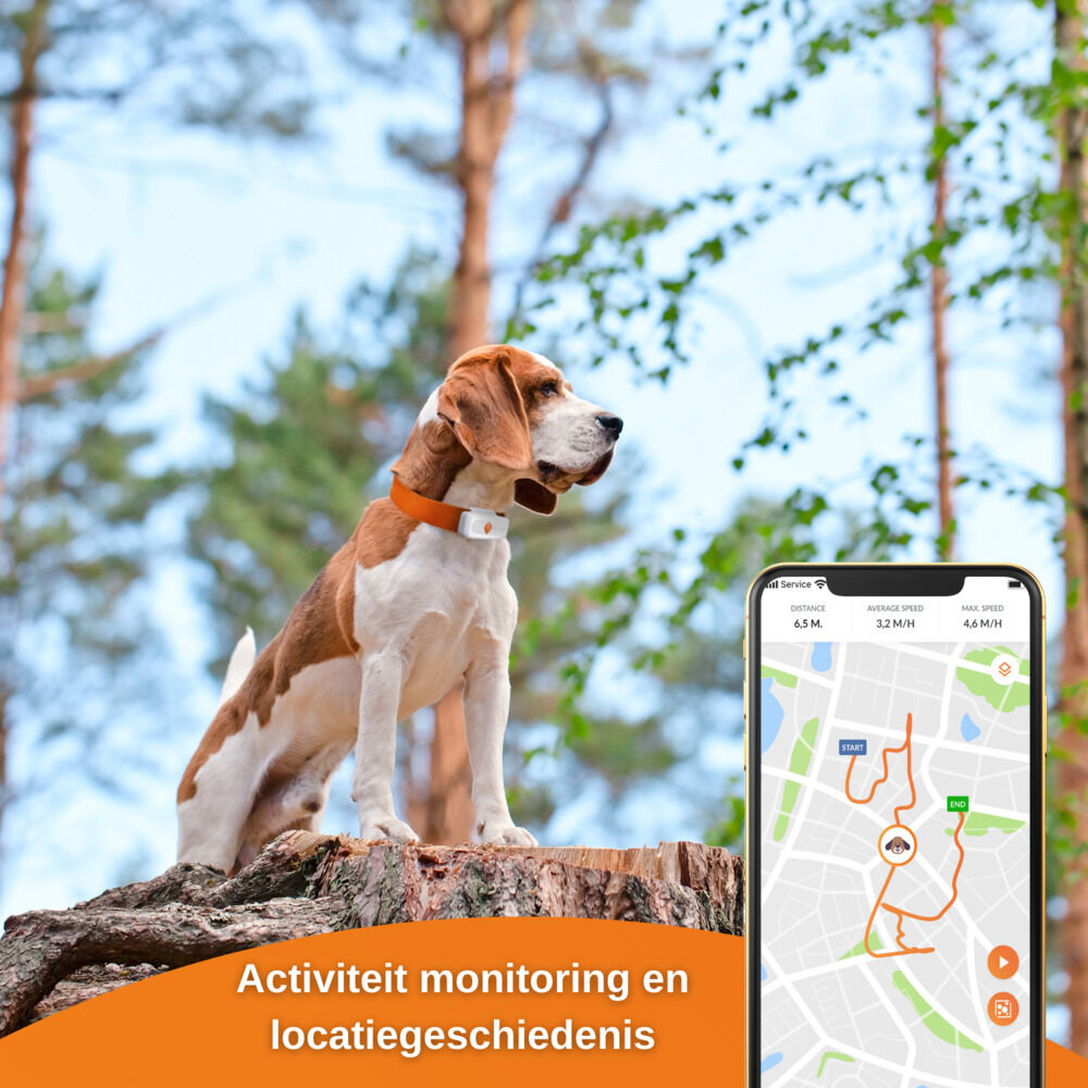 Weenect - GPS tracker Hond - 14.50 cm - wit - 12.00 cm - XS - 3.00 cm
