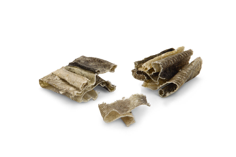 Beeztees Kabeljauw Bites- Hondensnack - 75