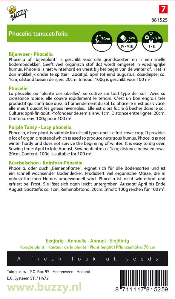Buzzy Bijenplant Phacelia - Groenbemester - 100.00 - Kruisbloem