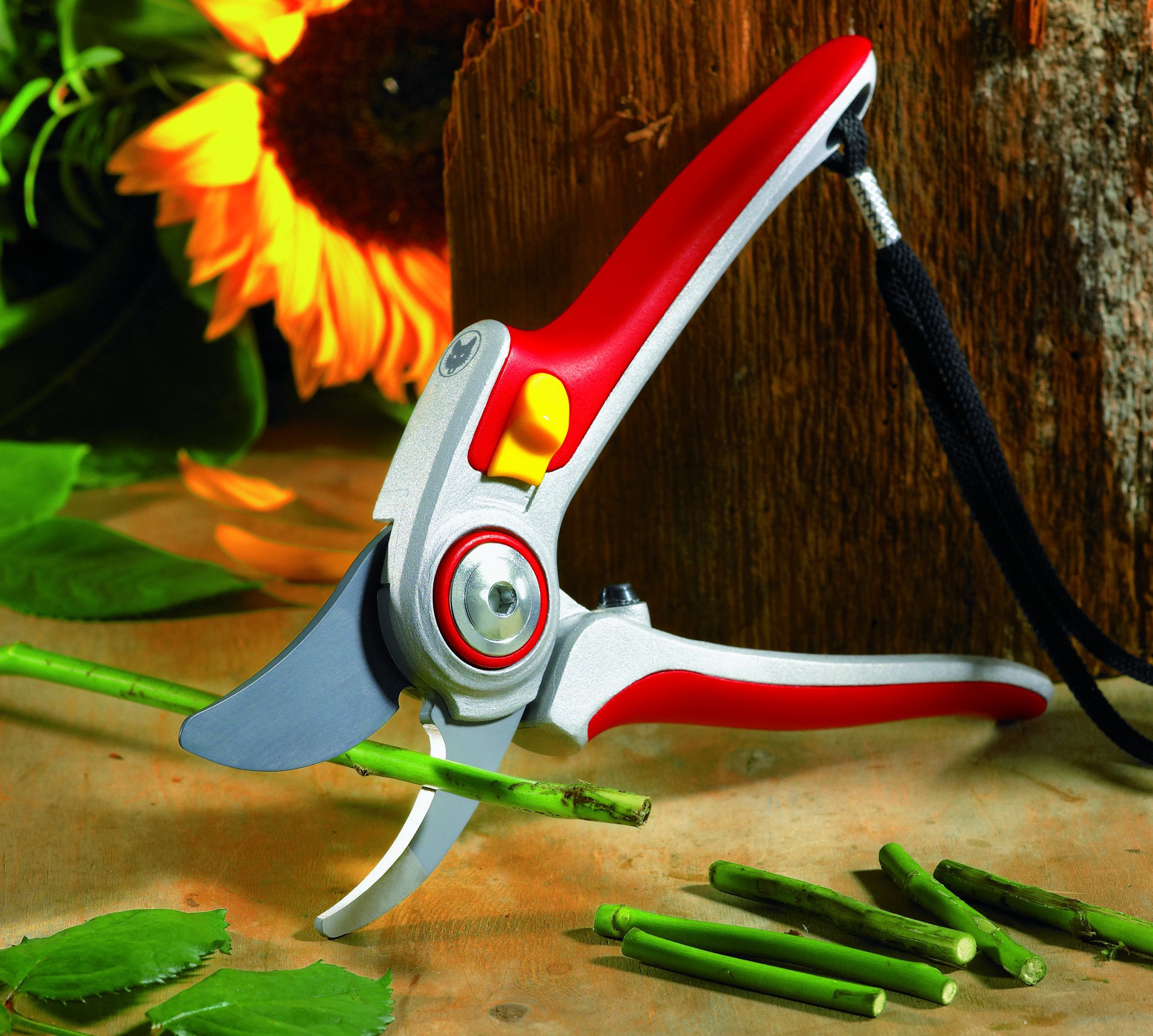 WOLF-Garten RR 5000 - Snoeischaar