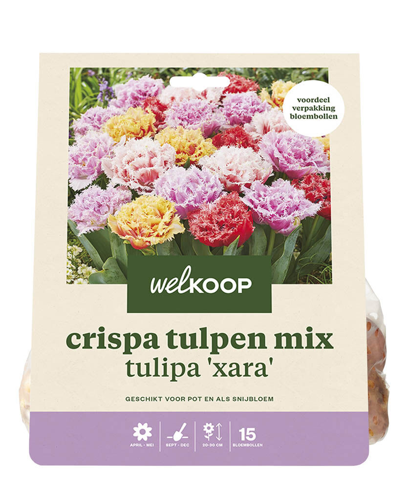 Welkoop Dubbele Tulpen mix Anouk - Bloembollen Welkoop Dubbele Tulpen mix Anouk - Bloembollen