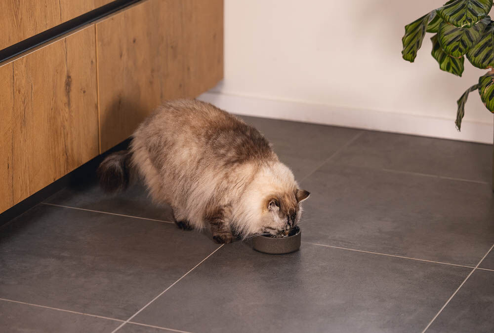 Designed by Lotte Noor - Voerbak - Grijs - 4.50x12.00x12.00 cm