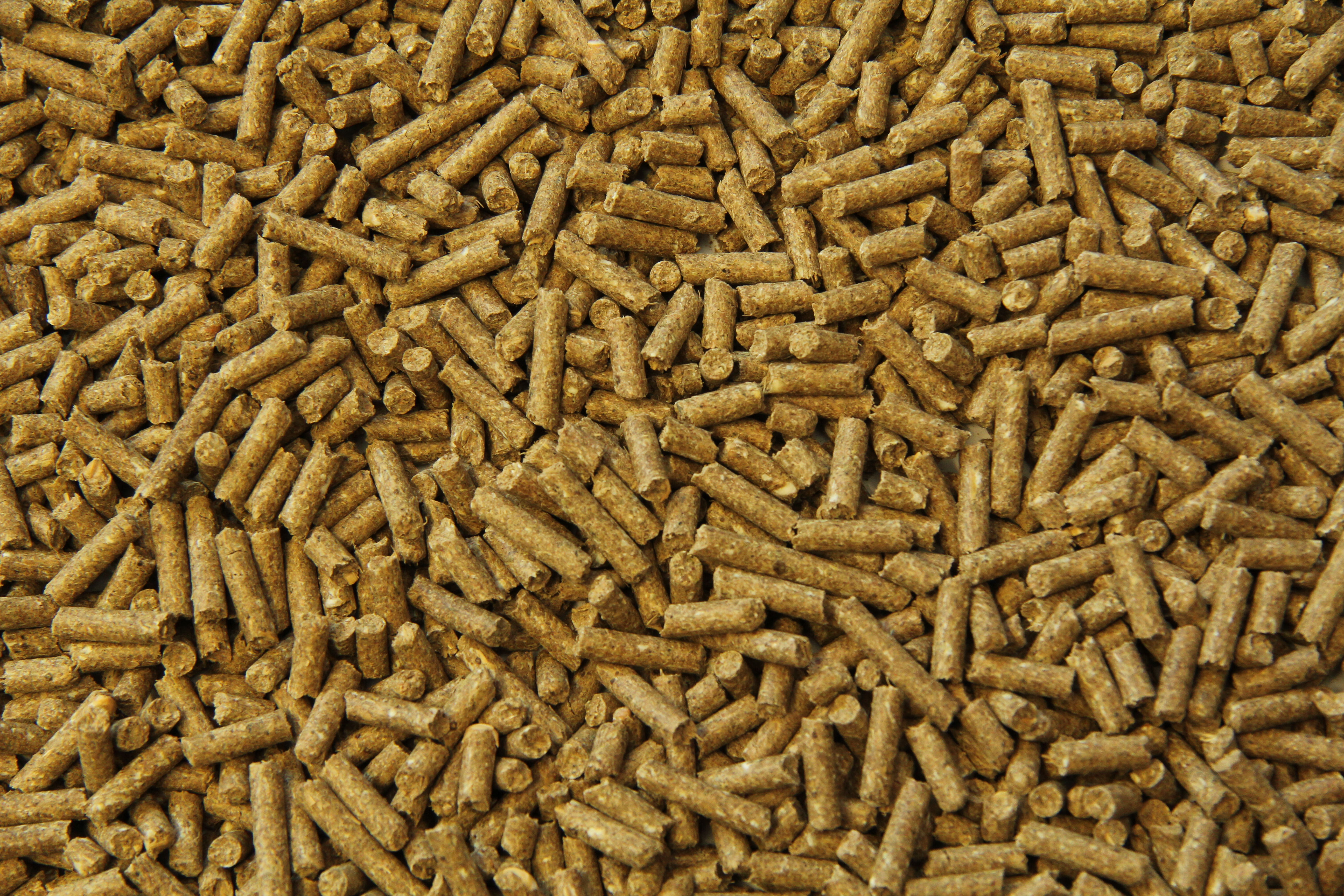Subli Sport/ prestatie Brok - Paardenvoer - 20 kg - Zak