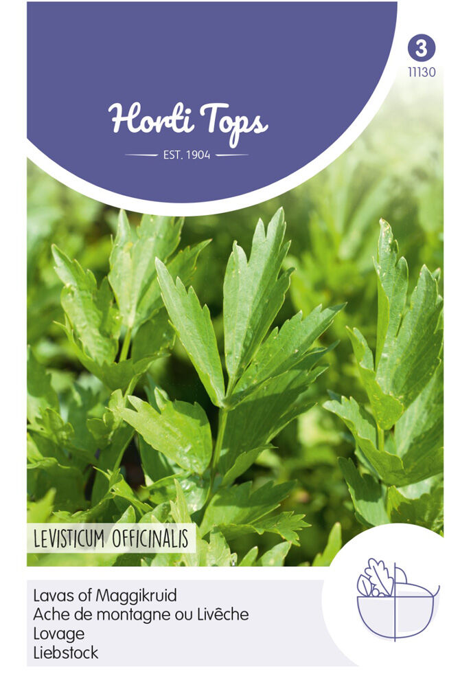 Hortitops Lavas Levisticum officinalis (maggiplant) - Kruidenzaden Hortitops Lavas Levisticum officinalis (maggiplant) - Kruidenzaden