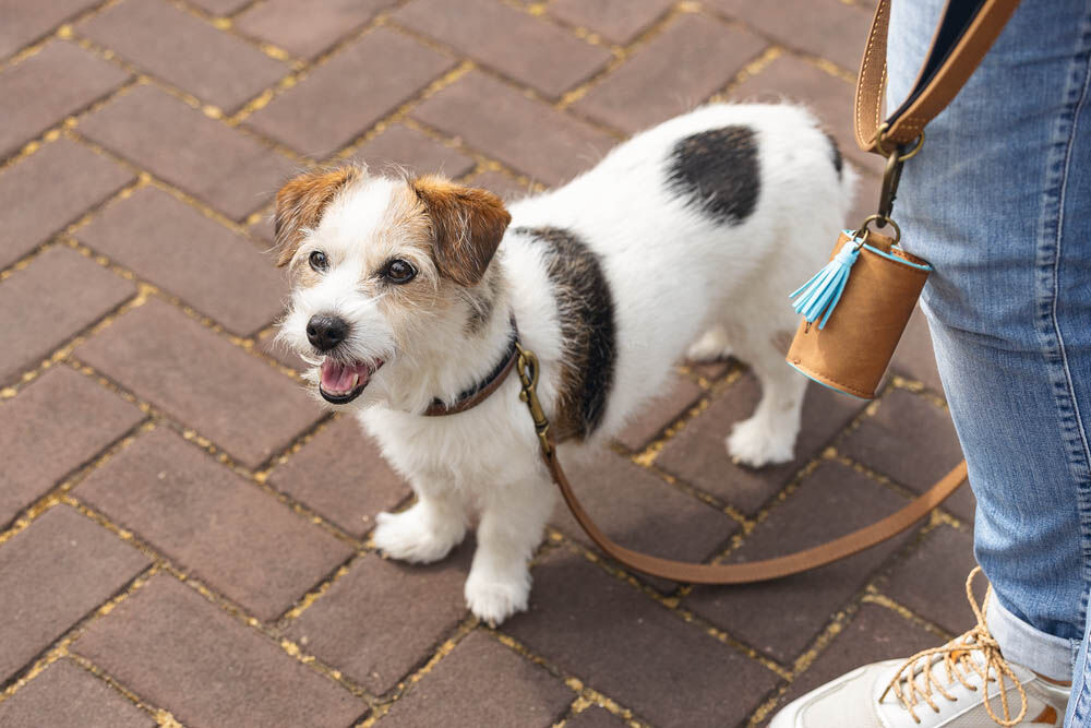 Beeztees Balacron - Poepzakhouder Hond - bruin