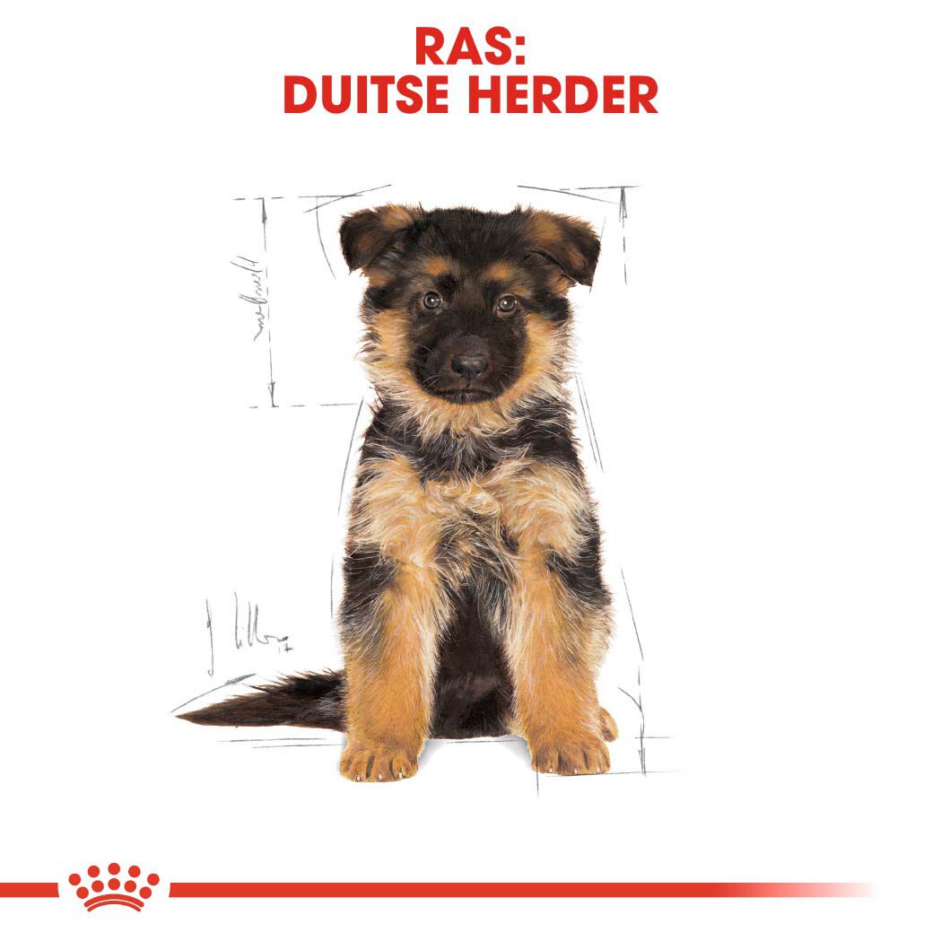 Royal Canin Duitse Herder Puppy - Hondenvoer - 12 - gevogelte