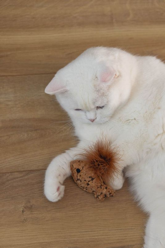 Beeztees Visje Sadie - Kattenspeeltje - Beige