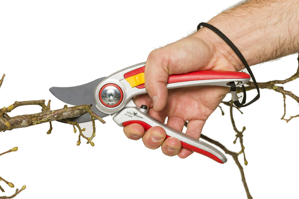 WOLF-Garten RR 5000 - Snoeischaar