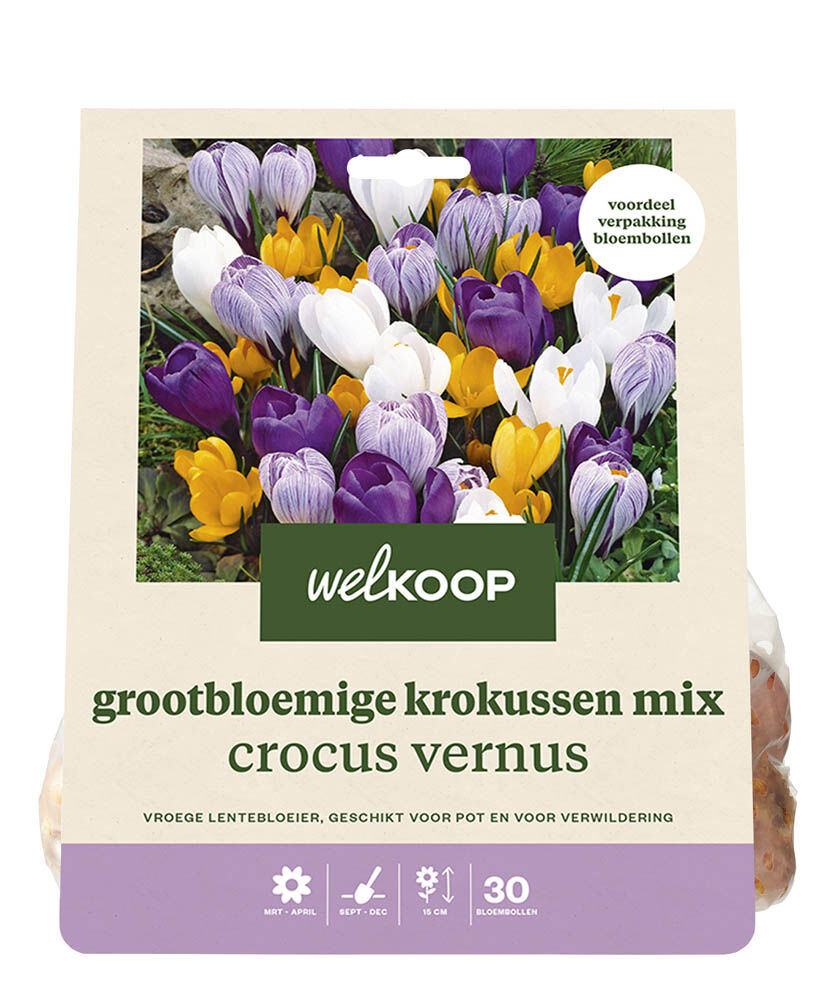 Welkoop Krokussen mix Lotte - Bloembollen Welkoop Krokussen mix Lotte - Bloembollen