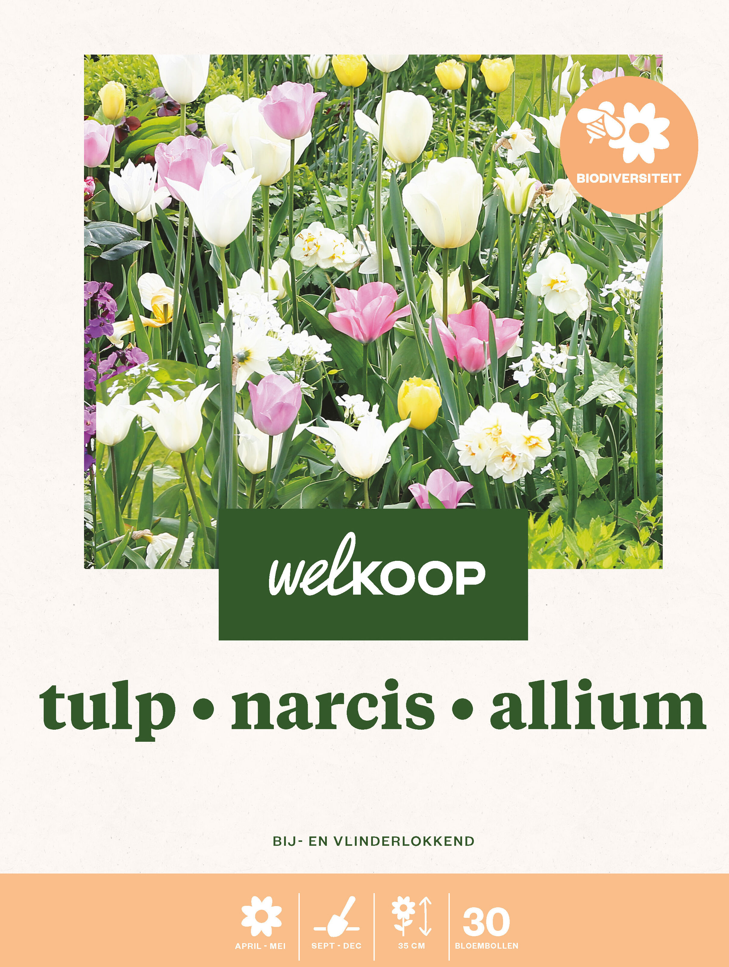 Welkoop Tulp Narcis Allium Biodiversiteit - Bloembollen