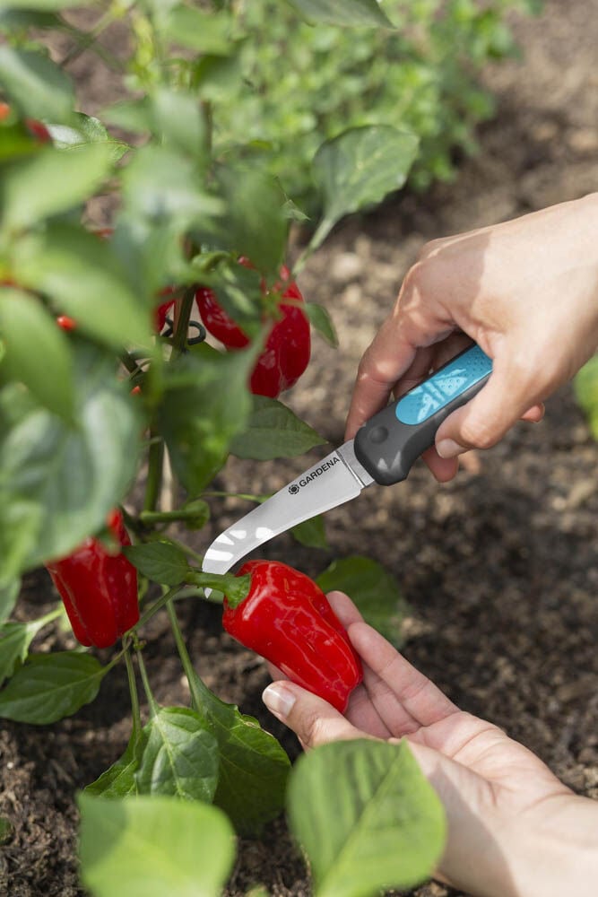 GARDEAN Veggie Cut - Oogstmes