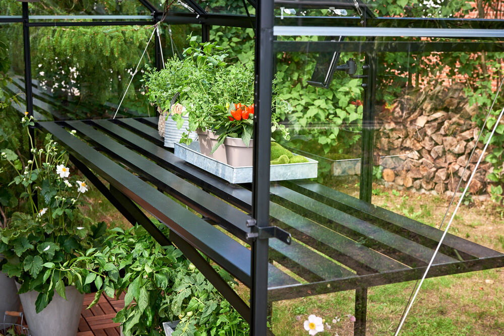 HALLS Qube 816 - Kweektafel - Zwart - 1x60x500 cm