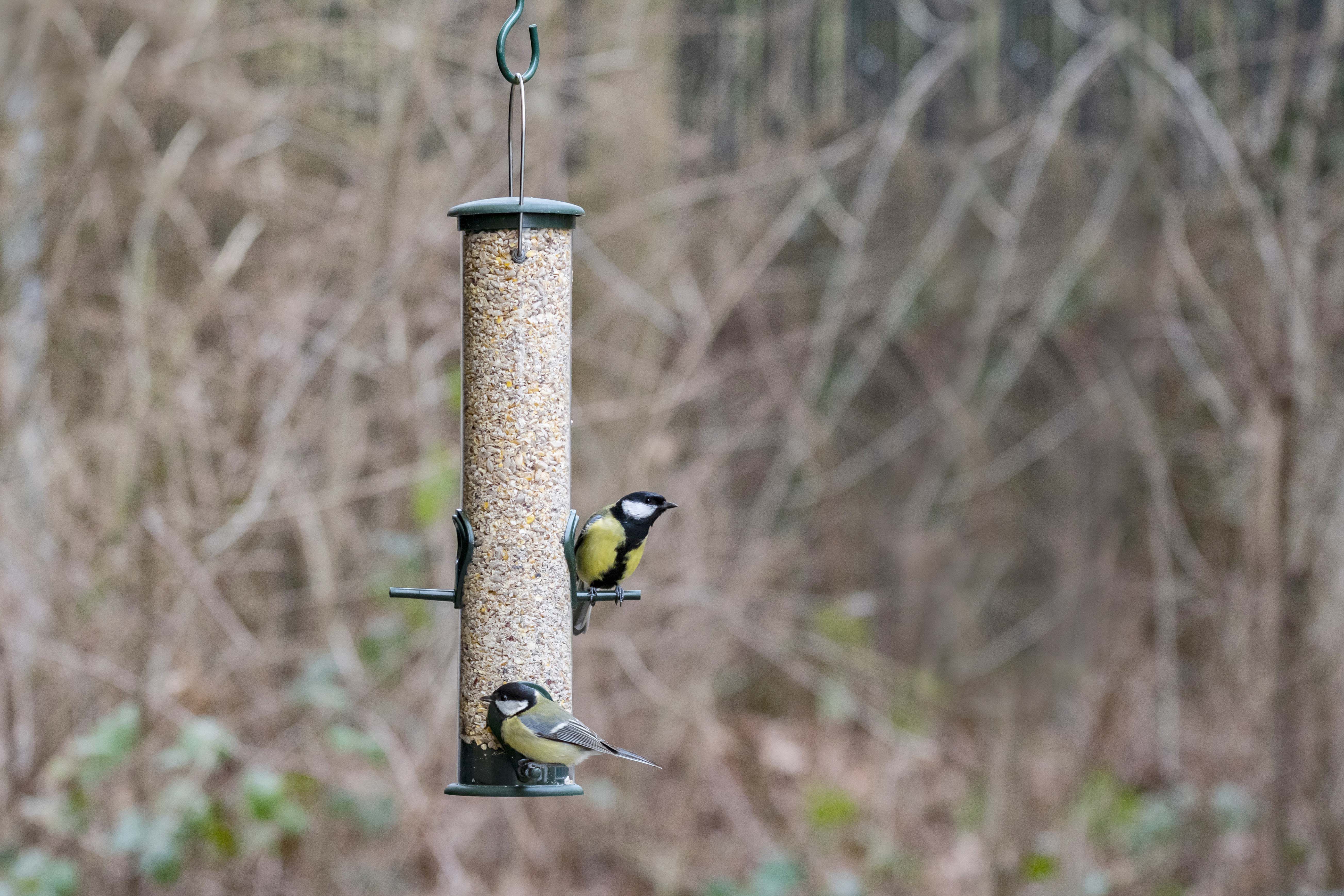 VBN Premium - No Mess - Onkruidvrij Tuinvogelvoer - 4