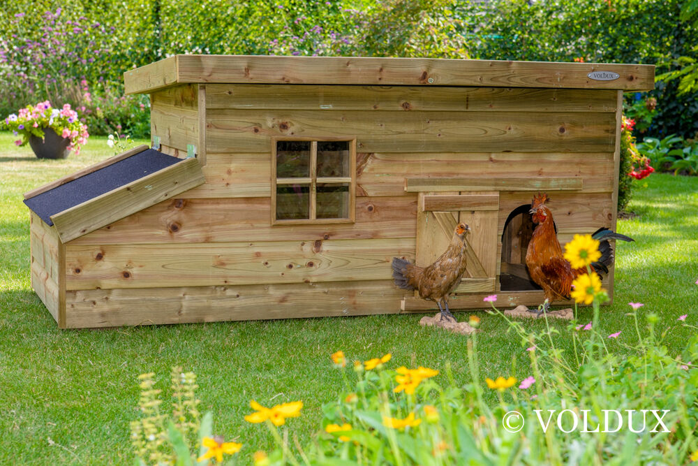 Voldux Fenne - Kippenhok - 80.00 cm - Naturel - 190.00 cm - 88.00 cm