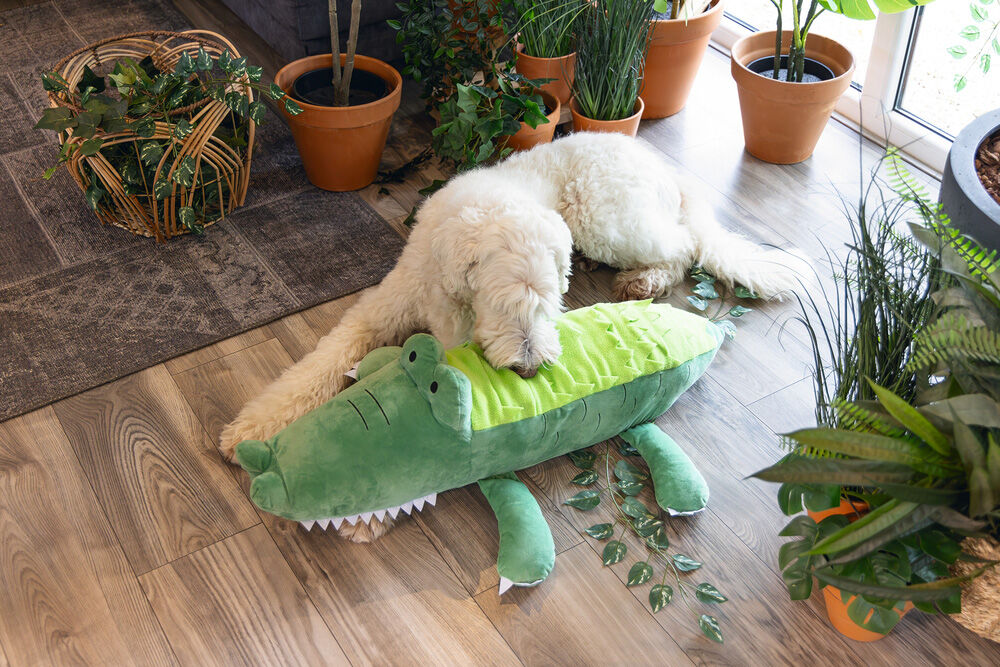 Beeztees Hide and Seek Jungle Krokodil - Snuffelmat - Hondenspeelgoed - 1.00 cm - Groen - 54.00 cm - 84.00 cm