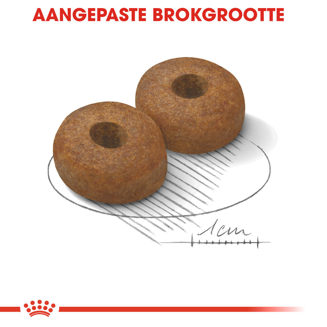 Royal Canin Maxi Ageing 8+ - Hondenvoer - 15 - gevogelte