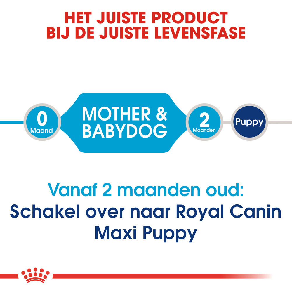 Royal Canin Maxi Starter Mother and Babydog - Hondenvoer - 15 - gevogelte