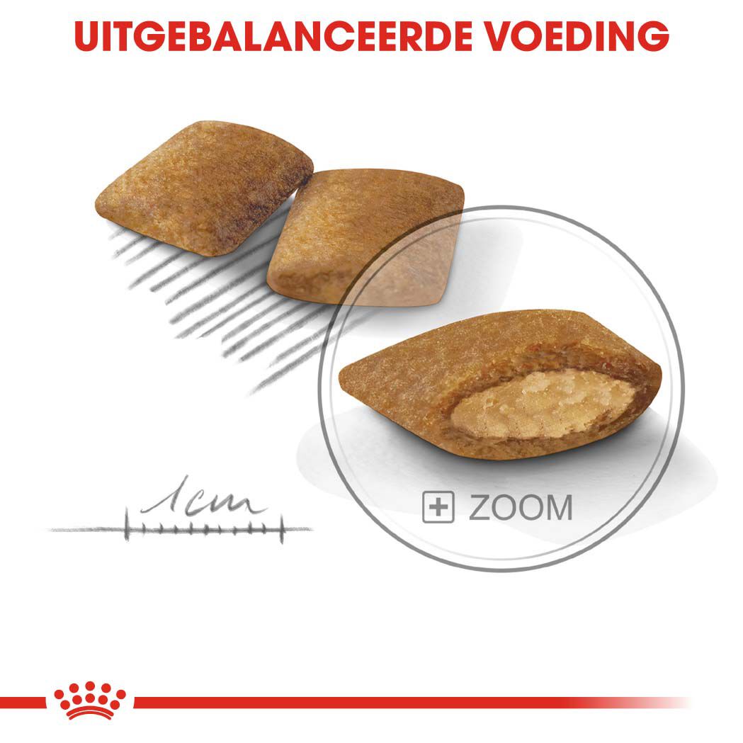 Royal Canin Exigent Mini - Hondenvoer - 1 - gevogelte