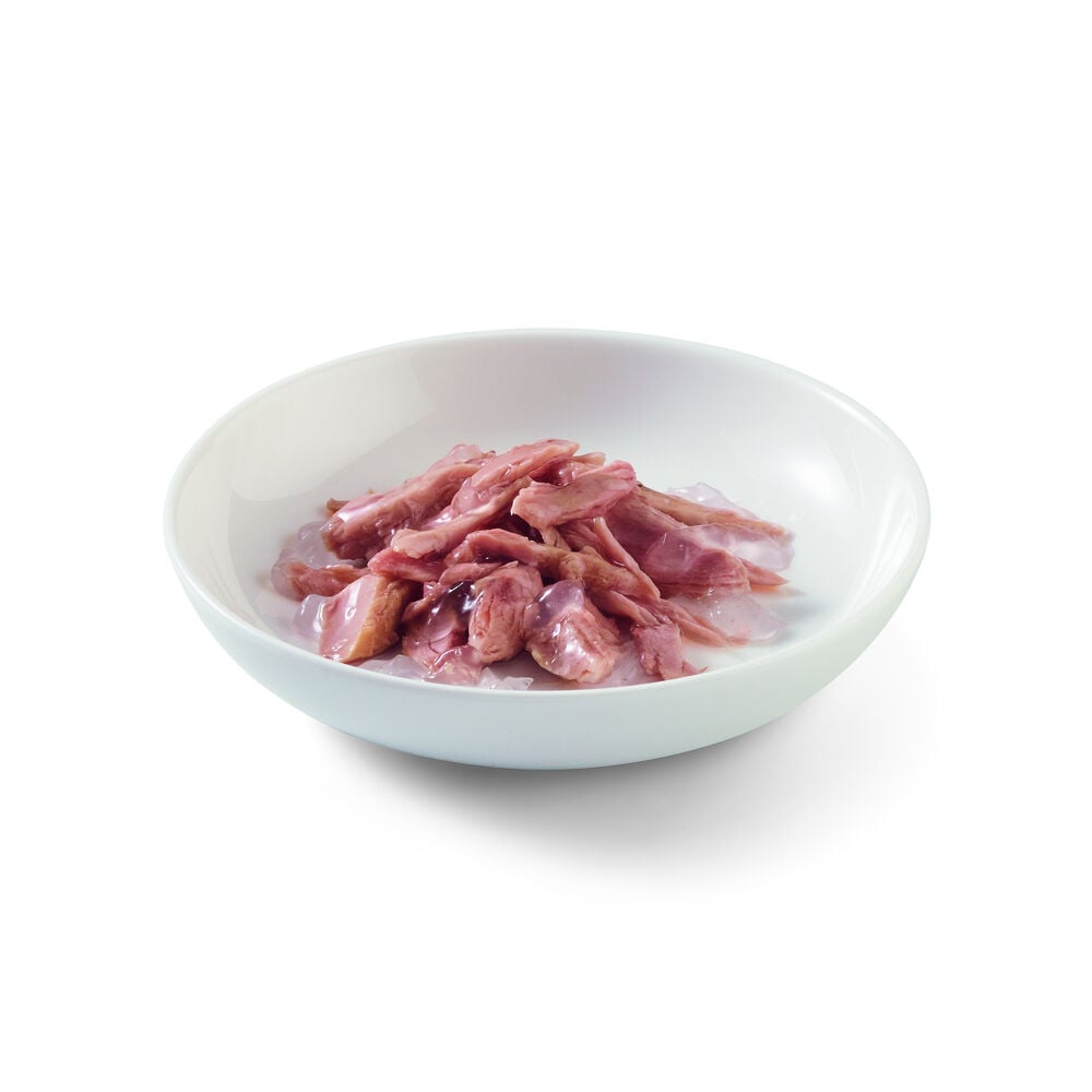 Schesir - Kattenvoer in Gelei - 85 - tonijn en seeweed