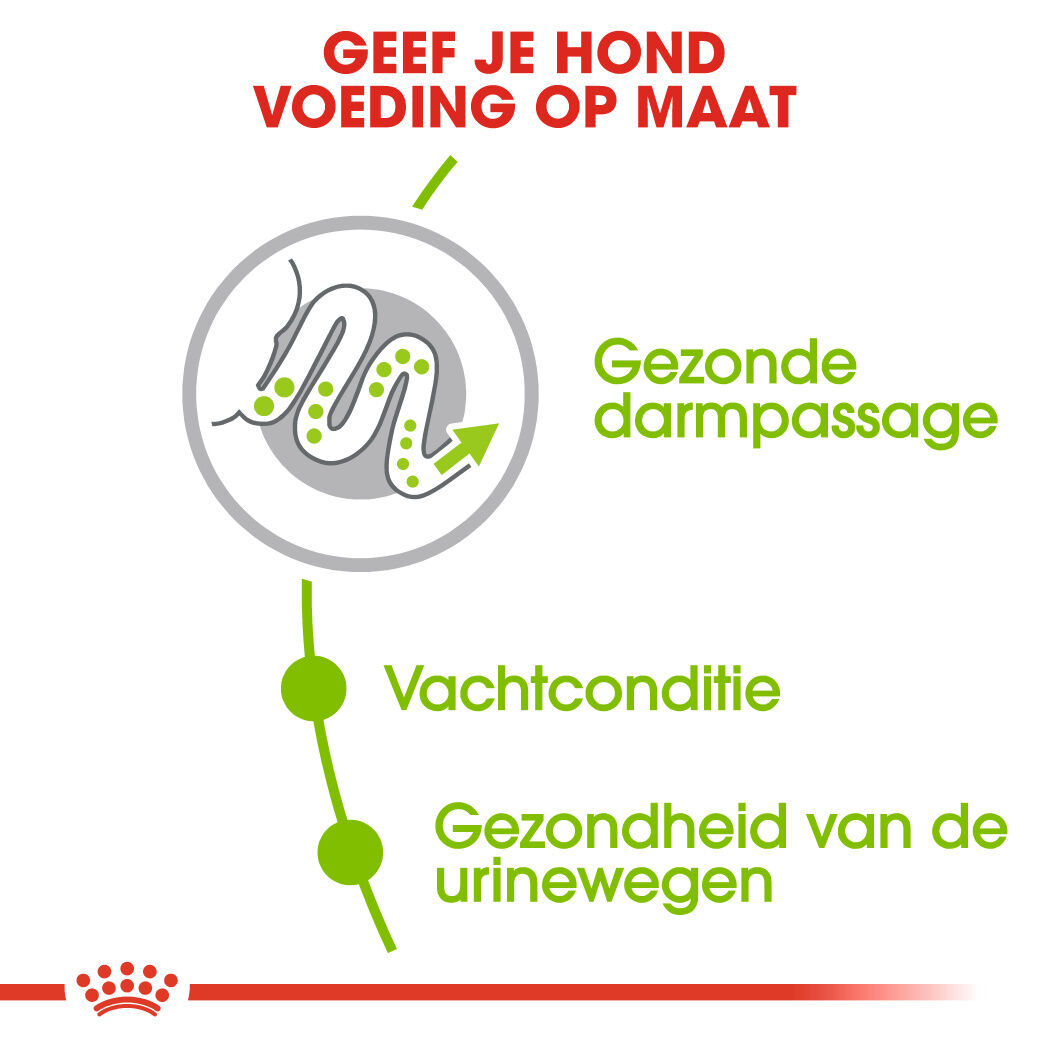 Royal Canin X-Small Adult - Hondenvoer - 1.5 - gevogelte