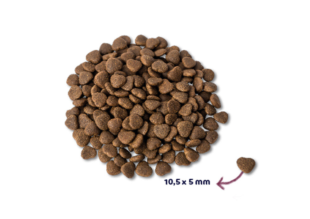 Renske Premium Adult - Kattenvoer - Zalm - 6 kg