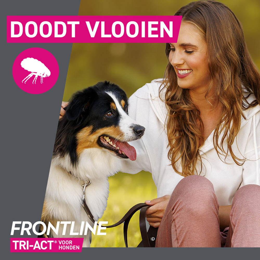 Frontline Tri-Act S - Teken en vlooienpipet - 3 pipetten - S