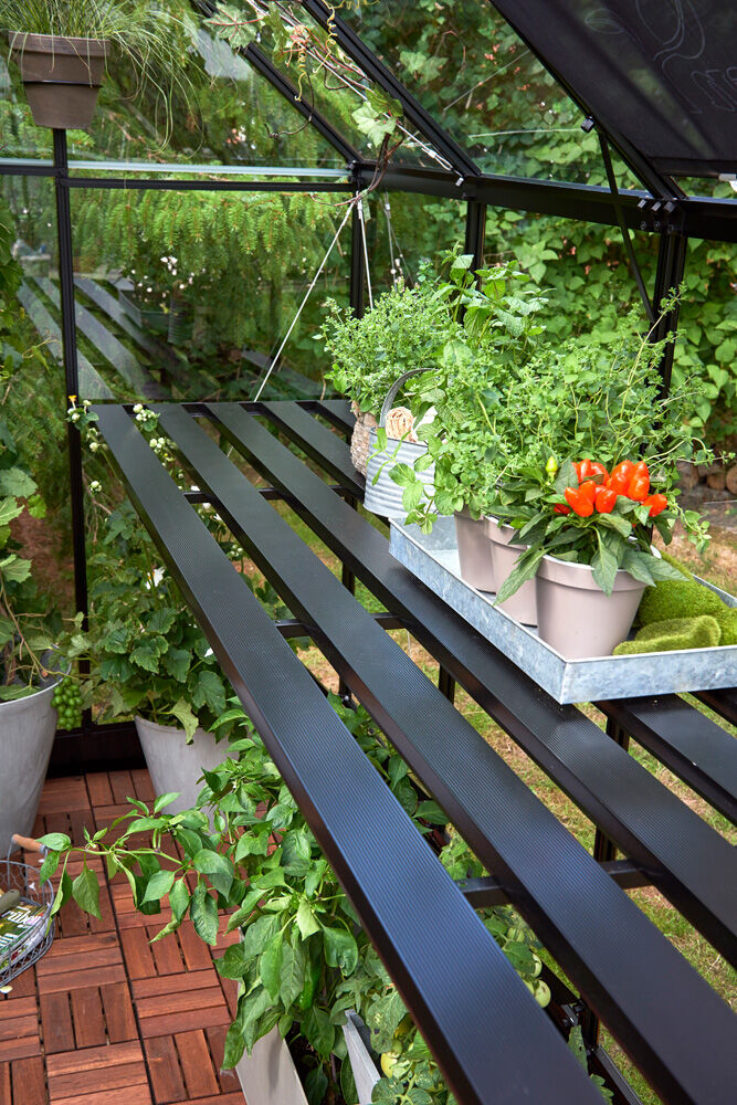 HALLS Qube 816 - Kweektafel - Zwart - 1x60x500 cm