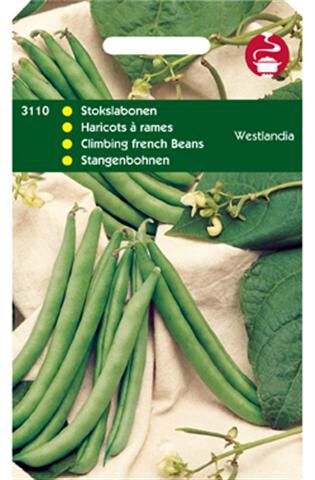 Hortitops Stokslabonen Phaseolus Vulgaris L. Westlandse Dubbele Z.Dr. - Groentezaden Hortitops Stokslabonen Phaseolus Vulgaris L. Westlandse Dubbele Z.Dr. - Groentezaden