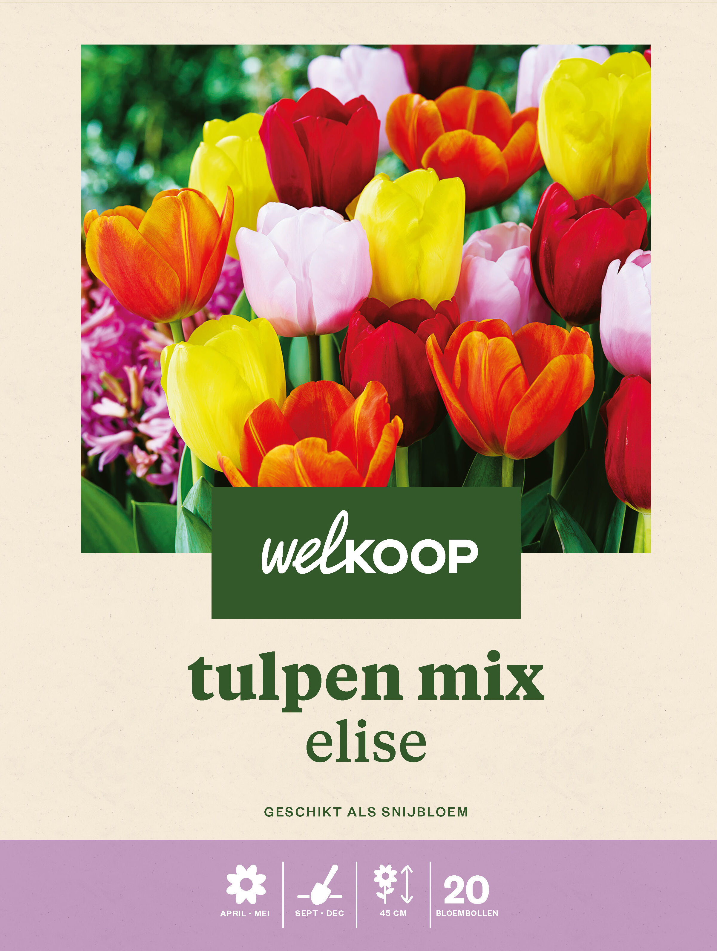 Welkoop Tulpen mix Elise - Bloembollen Welkoop Tulpen mix Elise - Bloembollen