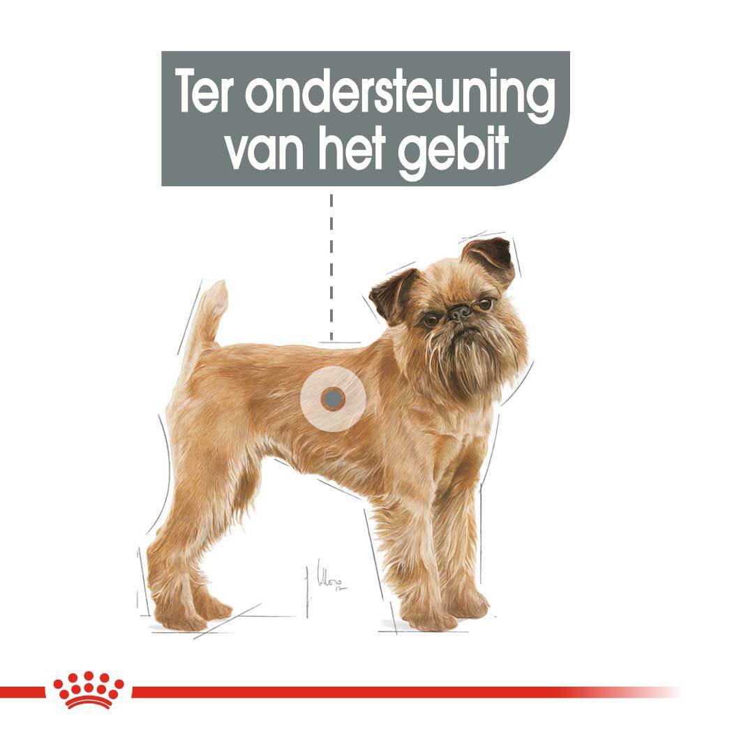 Royal Canin Dental Care Mini - Hondenvoer - 1 - gevogelte